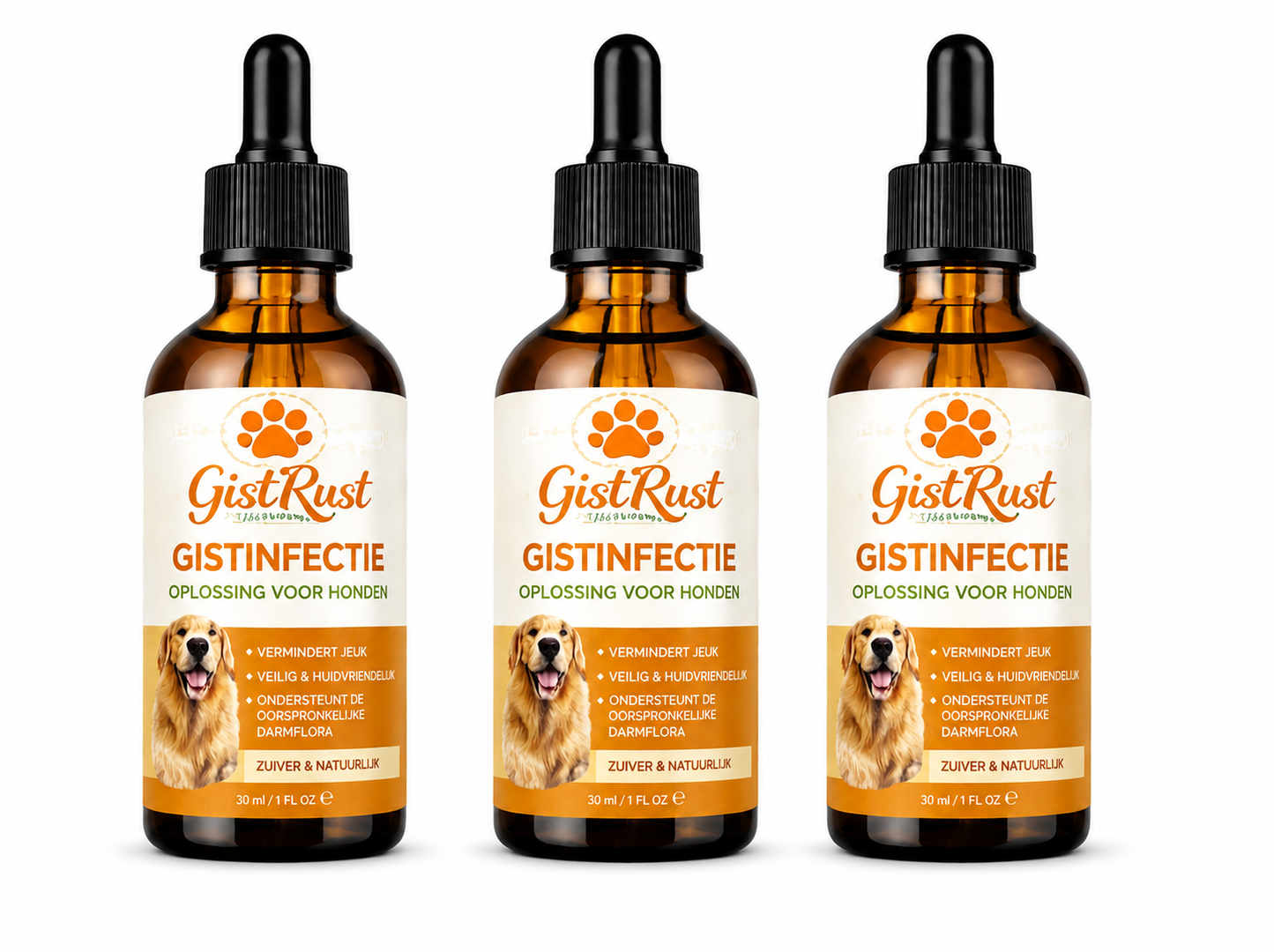 GistRust