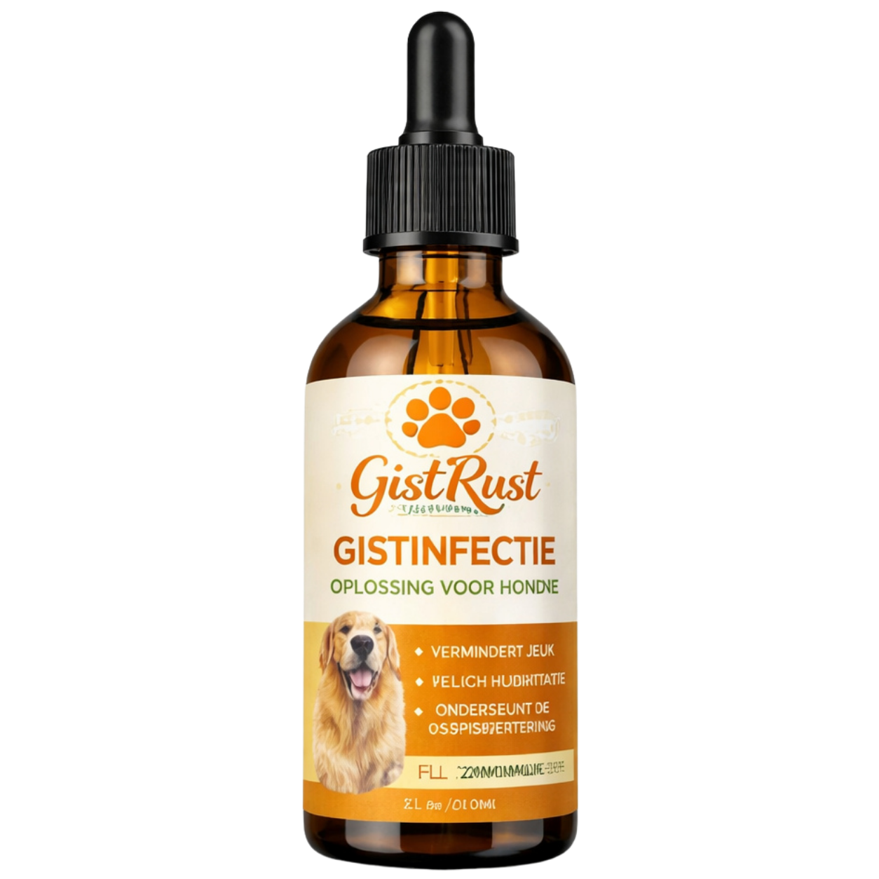 GistRust