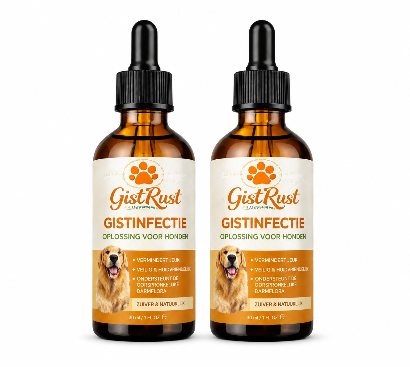 GistRust